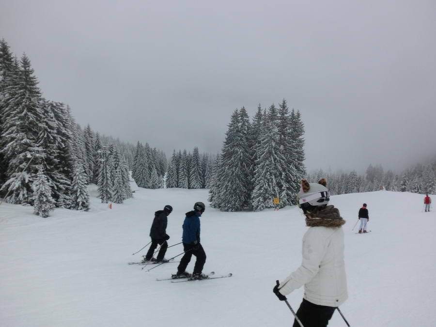 07- Dachstein, Bauernhaus, Abreise 012